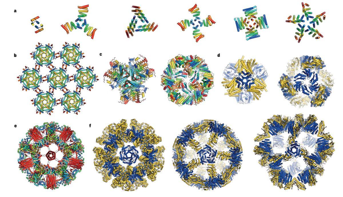 Designer Proteins