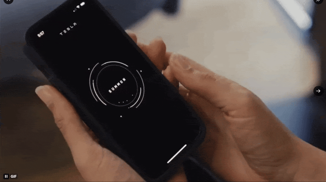 Tesla Robotaxi App